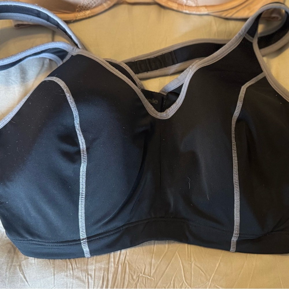 Ambrielle Black and Gray Bra